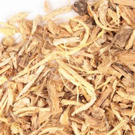 angelic roots|angelica root for sale.